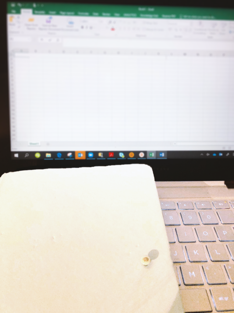 close up of laptop with someone studying for their accounting exam